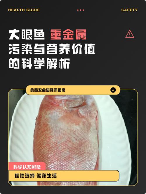 大眼鱼重金属污染与营养价值的科学解析